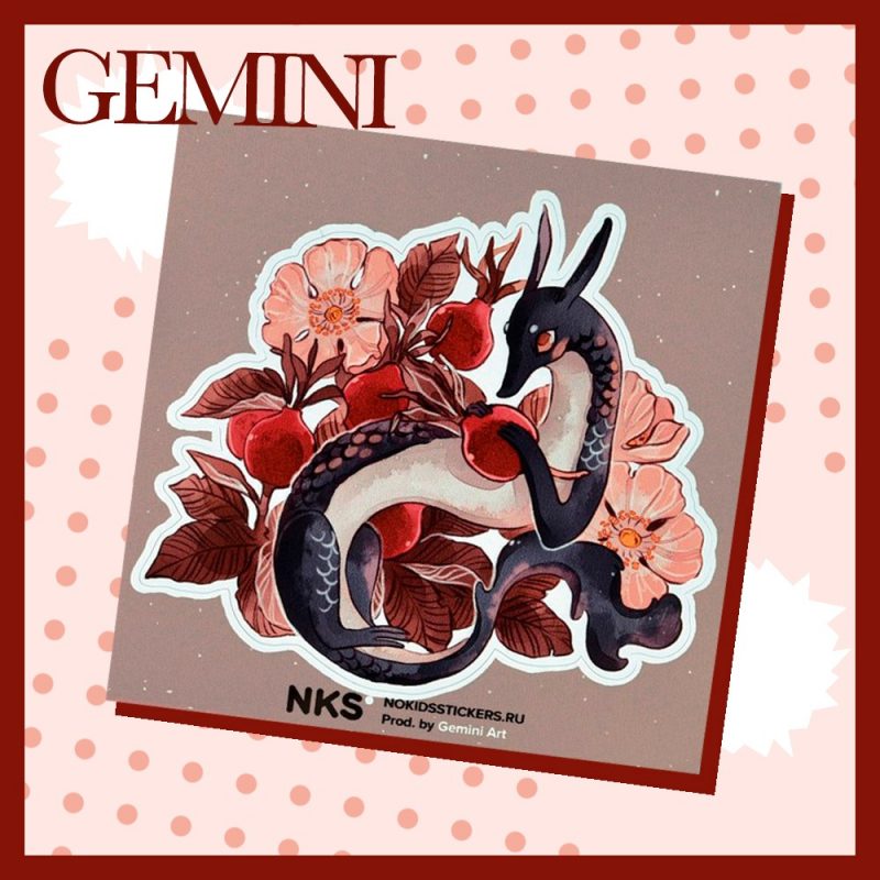 CARD GEMINI 15