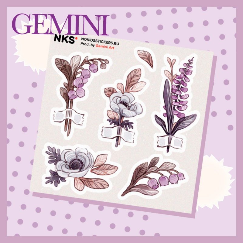 CARD GEMINI 35