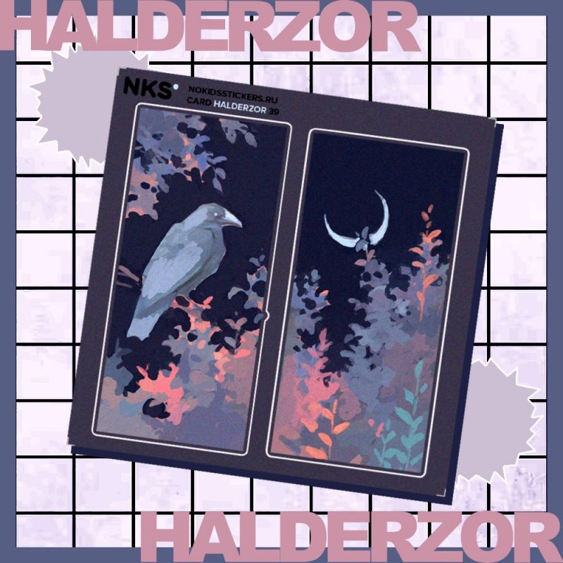 CARD HALDERZOR 39