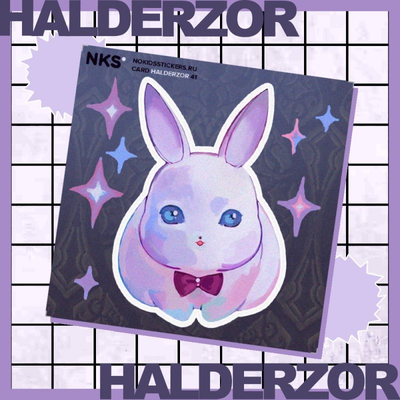 CARD HALDERZOR 41