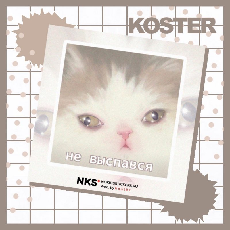 CARD KOSTER 31